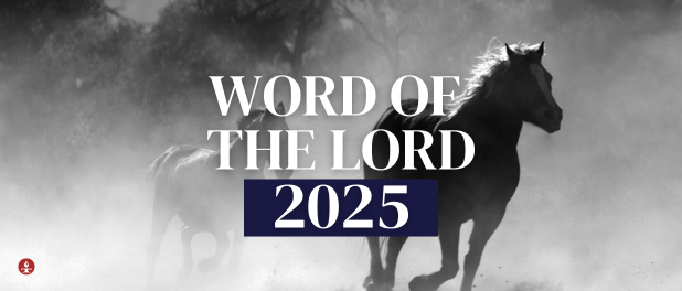 WOTL 2025 for Text