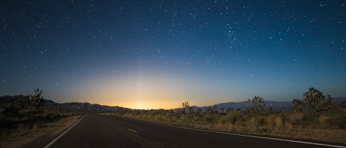 light on the horizon500x214